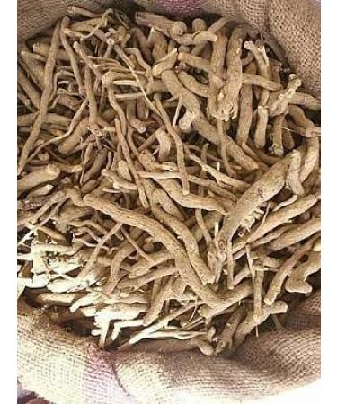 Racine de sarpagandha HK - (250 g) - Buy Online on GoSupps.com