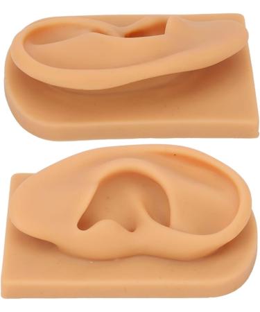 Waterproof Silicone Right Ear Model for Displaying Hearing Aid and Acupuncture Education - Buy Online on GoSupps.com