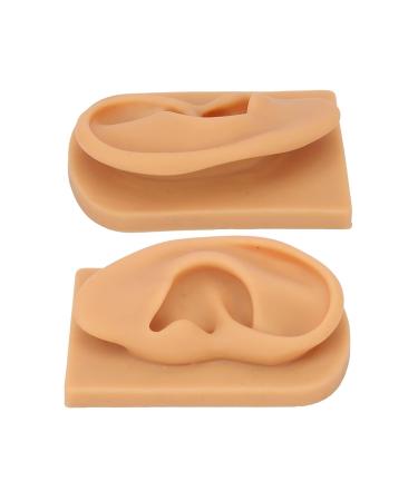 Ear Model Soft Silicone Right Ear Model Clear Structure Science Education Easy To Observe Flexible Waterproof for Display - Buy Online on GoSupps.com