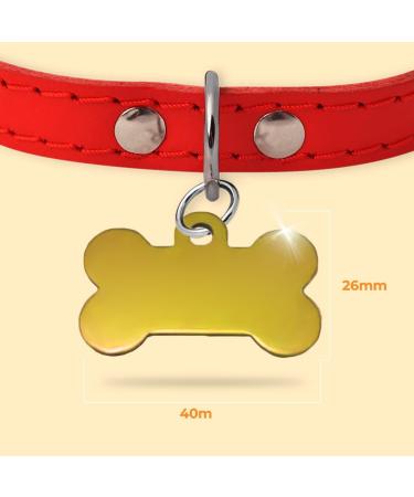 Ibera Gifts - Personalized Bone Shape Pendants for Large Dogs & Cats | Custom Engraved Dog Collars & Neck Bands (Gold & Paws) - Buy Online on GoSupps.com