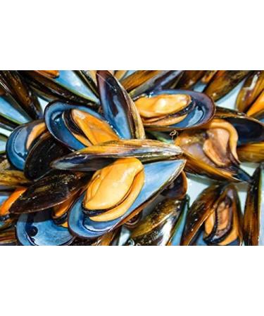 Hoya Santo a Marinated Mussels - Pack of 5 cans of 112g/8-12 pieces (560g/40-60 pieces). Gourmet preserve of medium marinated mussels from Galicia. - Buy Online on GoSupps.com