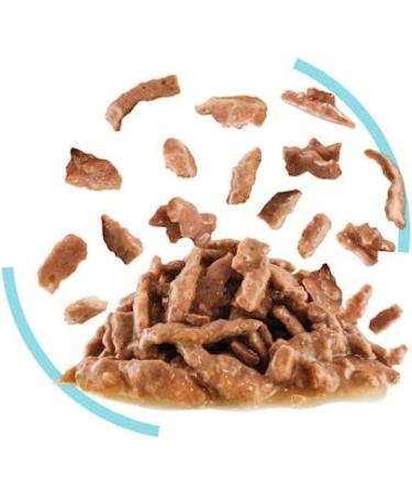 Royal Canin Sensory Feel In Gravy Adult Wet Cat Food 12x85g - Buy Online on GoSupps.com