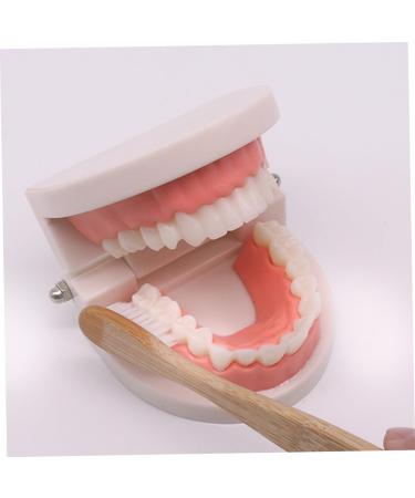 Shop Minkissy 1 Set Early Dental Education Toy - 3D Puzzle Tooth Model for Kids | Fun Role Playing Dental Care Toy - Buy Online on GoSupps.com