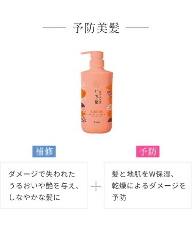 Ichikami Dense W Moisturizing Care Hair Shampoo Pump - 480ml - Buy Online on GoSupps.com
