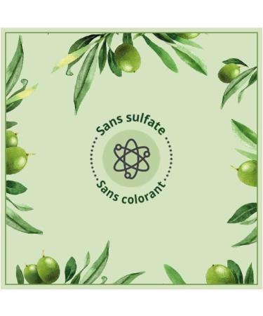 Le Petit Marseillais Refreshing Shower Gel Olive Leaf Eco Refill Organic 250ml - Buy Online on GoSupps.com