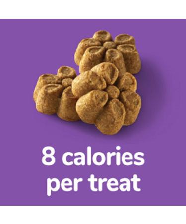 Fruitables Baked Dog Treats - Healthy Pumpkin & Blueberry Snacks | Low-Calorie, Wheat, Corn & Soy Free | 7 Oz - Buy Online on GoSupps.com