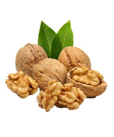 Eichkater Walnuts - Large Light Kernels (350g) | Crunchy Snack | Buy Online Internationally - Buy Online on GoSupps.com