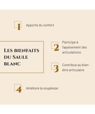 PRINCE EQUIN - SAULE BLANC - Horse nutritional supplement - Bucket 1 kg - Joint comfort - Joint flexibility - French brand - Buy Online on GoSupps.com