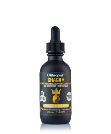 Life Cykel - Chaga Mushroom Extract with Kakadu Plum - Double Extracted Mushroom Tincture - Non-GMO Immune Support Supplement for Adults and Kids - 2 Fl Oz 2 Fl Oz (Pack of 1)