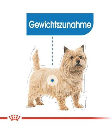 Royal Royal Canine Adult Light Weight Care Mini 1 kg 1000 g - Buy Online on GoSupps.com