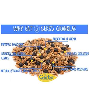 GERBS Dried Blueberry Harvest Granola - 32oz Allergy-Free, Non-GMO Snack - Buy Online on GoSupps.com