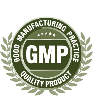 brain and memory booster - ST. JOHN'S WORT EXTRACT - PROMOTES POSITIVE MOOD with ginkgo biloba - gingko biloba with ginseng st. john's wort herb brain booster supplement focus pills 1B 60 Caps - Buy Online on GoSupps.com