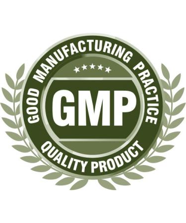 Foodherbs Premium Haritaki Powder single ingredient fine mix Terminalia chebula Harad Chebulic Myrobalan hand packed 200 g 0.44 lb Ayurvedic ritual scoop for warm water or tea sealed fresh - Buy Online on GoSupps.com