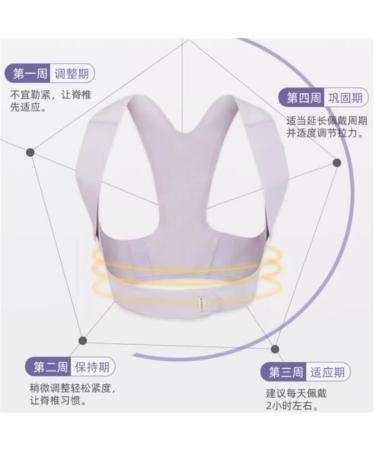 MDLIAN Large D Chest Anti-Hunchback Posture Correction Orthotics - Back Support for Healthy Spine Alignment - Buy Online on GoSupps.com