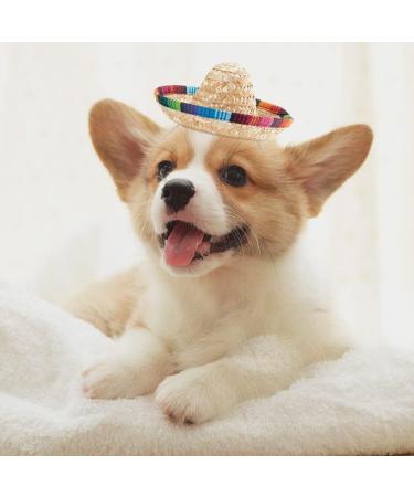 Webeedy 2-Piece Pet Mexican Straw Hat - Dog Sombrero for Parties Photo Shoots & Halloween Decorations - Buy Online on GoSupps.com