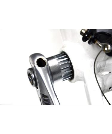 Teyssor Bike Bottom Bracket Removal Tool - Standard 20-Tooth BB Remover in Black - Buy Online on GoSupps.com