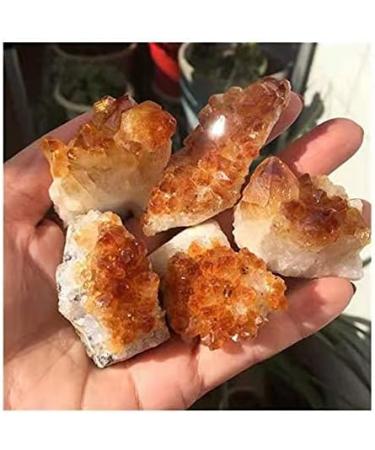 CIMWJOPS 1pc Rough raw Stone Natural Yellow Citrine Quartz Crystal Cluster for - Buy Online on GoSupps.com