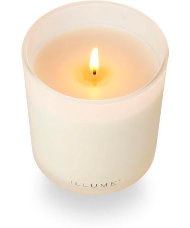 ILLUME Driftwood Refillable Glass Candle - Elegant Aromatherapy | International Shipping Available - Buy Online on GoSupps.com