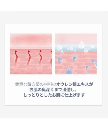 Pyunkang Yul Facial Fog Spray Toner - Refreshing Moisture Care 5 Ingredients No Irritation Korean Skincare 100ml - Buy Online on GoSupps.com