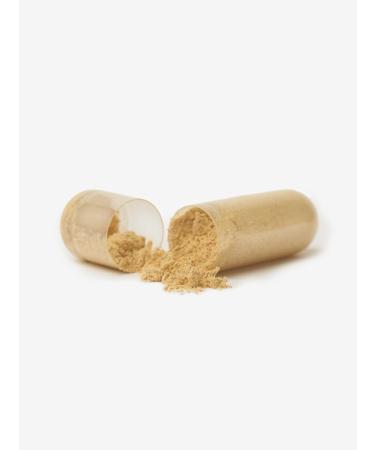 Homme Labs Men's Daily Multivitamin Vegetable Capsules 30-Day Supply Essential Vitamins & Minerals Botanical Blend Antioxidant-Rich for Muscle Joint & Prostate Support 2 Capsules Daily - Buy Online on GoSupps.com