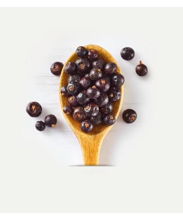  Lebensbaum Lebensbaum Juniper Berries - 30 g - Buy Online on GoSupps.com