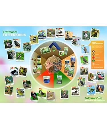 Erdtmanns 35 Fat Balls in Bucket - 3 kg Bird Feed for Garden - No Net - International Shipping Available - Buy Online on GoSupps.com
