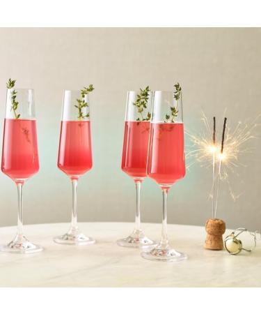 MONIN Set for sparkling cocktail made with Prosecco Spritz and Gin Tonic - Rose Blackcurrant Elderflower Blackberry and - Buy Online on GoSupps.com