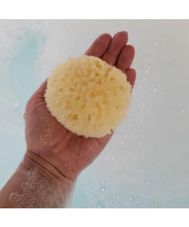 Ellie-Fant Natural Baby Sponge 2 Mediterranean Sea Honeycomb Sponges | Perfect for Babies & Toddlers Bathing Cleansing | Soft Safe Organic Durable Hypoallergic Sponges - Buy Online on GoSupps.com