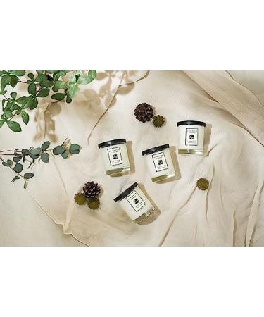 CULTURE & NATURE Lime Basil & Mandarin Scented Soy Candle - 100% Natural Long-Burning Wooden Wick Luxury Home Fragrance (8oz - Buy Online on GoSupps.com