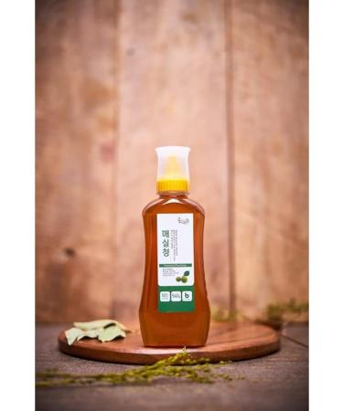 Buy Green Plum Extract Syrup 540g | Korean Beauty & Health Supplement | Rich in Minerals & Vitamins - Buy Online on GoSupps.com