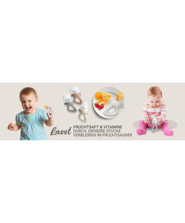 Buy BABYLEDO Baby Fruit Pacifier & Teething Ring - Raccoon Gray | Ideal Teething Aid for Fruits & Vegetables - International Shipping Available - Buy Online on GoSupps.com