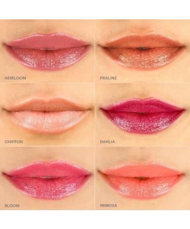 Glo Skin Beauty Cream Glaze Lip Crayon in Chiffon | High Shine & Long-Lasting Lip Color - Buy Online on GoSupps.com