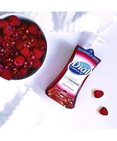 Buy Dial Complete Antibacterial Foaming Hand Wash - Power Berries 7.5 Ounce | International Shipping Available - Buy Online on GoSupps.com