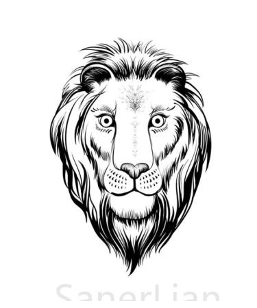 SanerLian Bear Geometric Temporary Tattoo Sticker Set of 12 | Watercolor Waterproof Body Art for Men and Women | Hand Arm 10.5X6cm - Buy Online on GoSupps.com