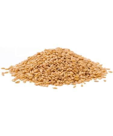 Organic Golden Linseed (Flaxseed) 500g by Manor Springs Organic - Buy Online on GoSupps.com