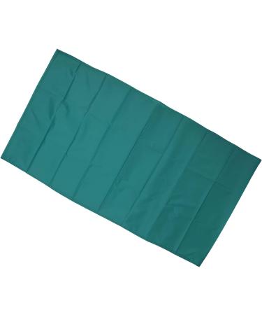 Reusable Nylon Hospital Bed Sheet for Patient Transfer | Gliding Solution for Elderly Support (135x75cm) - Washable & Durable - Buy Online on GoSupps.com
