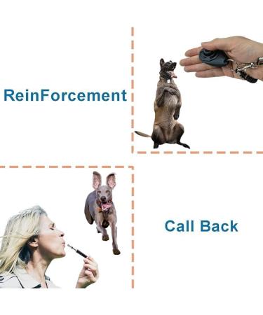 Dog Training Kit Puppy Dog Treat Pouch Bag with Dog Clicker and Silent Whistle with Lanyard Hands-Free Training Dog Treat Pouch Includes Carabiner for Pet Puppy Travel or Outdoor Use (Red) Red-2 - Buy Online on GoSupps.com