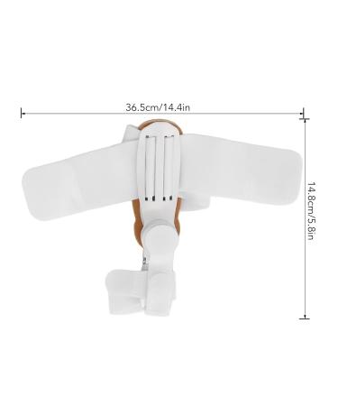 Big Toe Straightener - Lightweight Bunion Corrector | Adjustable Toe Support for Home & Office - Buy Online on GoSupps.com