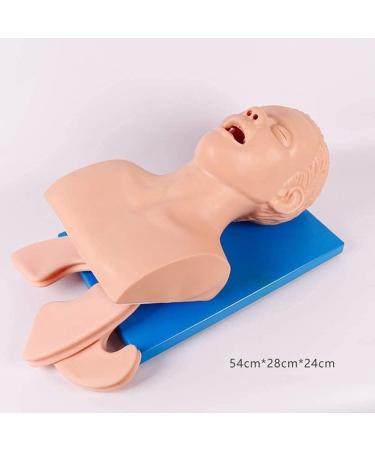 Buy Adult Electronic Tracheal Intubation Manikin | Best Training Simulator for Airway Management | International Shipping Available - Buy Online on GoSupps.com