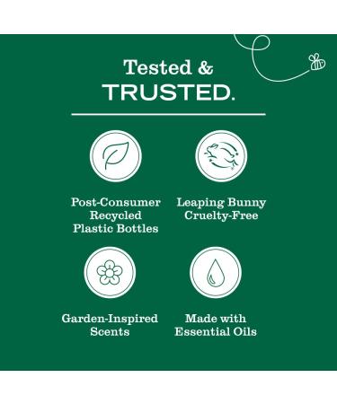 Mrs. MEYER'S CLEAN DAY Liquid Hand Soap, Dewdrop Scent, 12.5 Ounce Bottle 12.5 Fl Oz (Pack of 1) - Buy Online on GoSupps.com