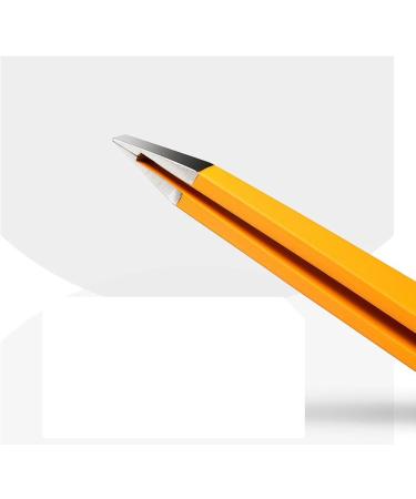 NBGGFF Tweezers Eyebrow Tweezer Colorful Hair Beauty Fine Hairs Puller Stainless Steel Slanted Eye Brow Clips Removal Makeup Tools(Purple) - Buy Online on GoSupps.com