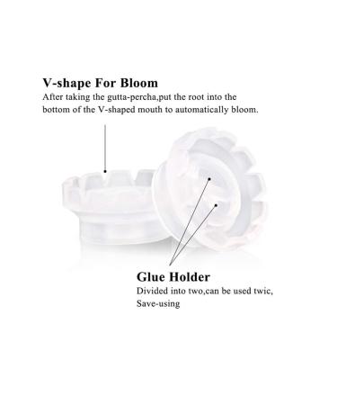 Luckycivia 300 Pcs Lashes Fan Glue Cups - Volume Fan Eyelash Extensions Tool - Buy Online on GoSupps.com