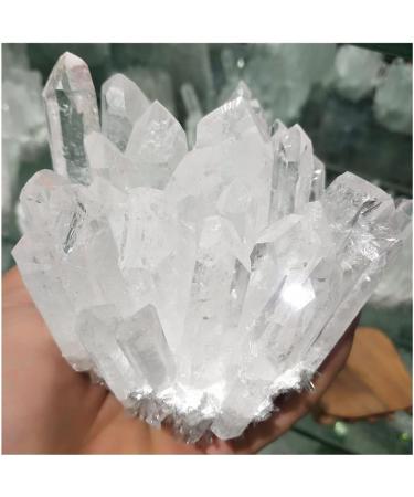 Natural Transparent White Crystal Cluster Natural Crystal Reiki - Buy Online on GoSupps.com