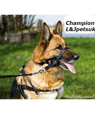 Champion Anti-Pull Training Halter for Dogs - Padded 6 Black | Comfortable & Effective International Shipping - Buy Online on GoSupps.com