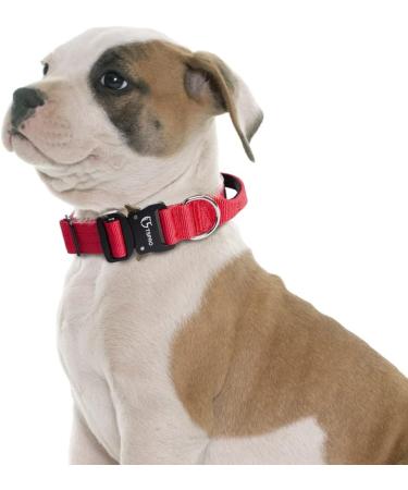 Buy Tspro Premium Dog Collar with Handle - Adjustable Heavy-Duty Collar for Small to Extra Large Dogs (Red Size M 37-46cm) - Quick Lock Metal Buckle - Buy Online on GoSupps.com