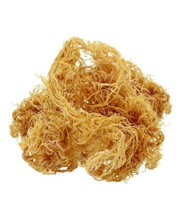 Sea Moss Bar Soap with Sea Clay - Anti-Aging & Skin Rejuvenation | Handmade Purifying Soap - 5.2 oz - Buy Online on GoSupps.com