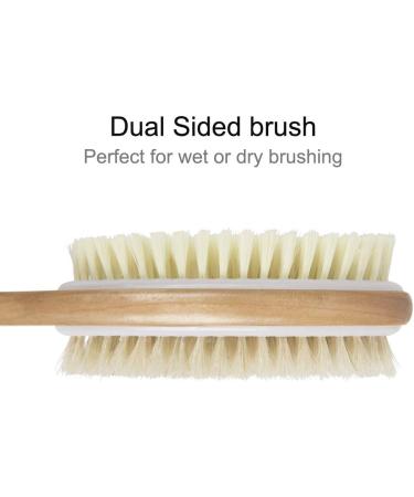 2PCS QUNCI Double-Sided Shower Brush Set for Wet/Dry Body Exfoliation - Bath & Back Exfoliator and Lotion Applicator - Buy Online on GoSupps.com