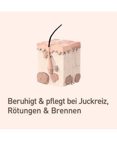 NUPURE Probaderm Probiotic Intensive Cream - Moisturize & Restore Skin | International Shipping - Buy Online on GoSupps.com