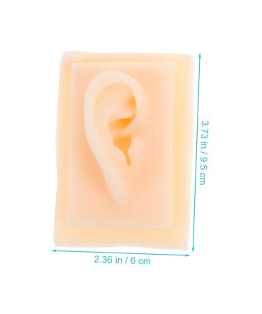 Beavorty Ear Presentation Model - Silicone Ear Mold for Hearing Aid Display & Teaching - International Shipping Available - Buy Online on GoSupps.com