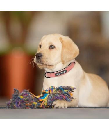 Didog Custom Pink Dog Collar - Soft Padded Leather with Engraved Nameplate | D-Ring for Small & Medium Dogs (40-50cm) - Buy Online on GoSupps.com